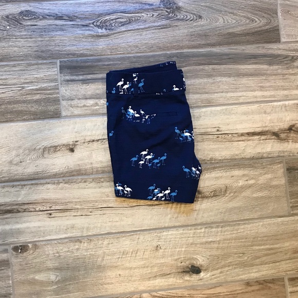 Ann Taylor Loft Flamingo Shorts, Size 2 - Picture 5 of 5